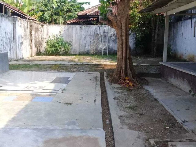 place photo 9