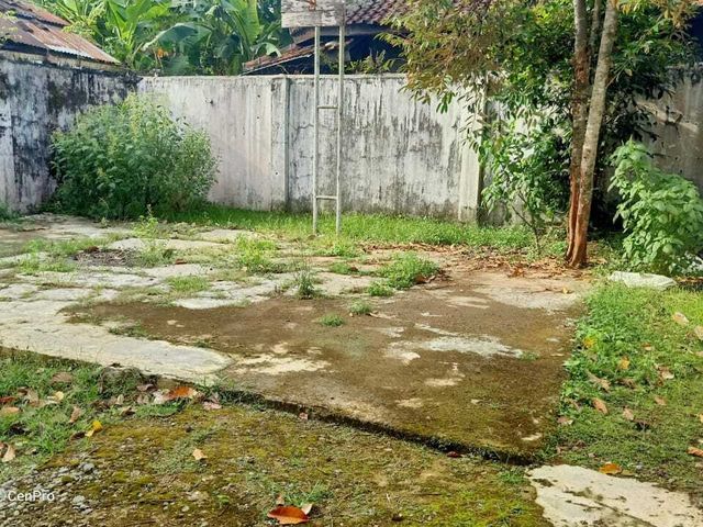 place photo 6