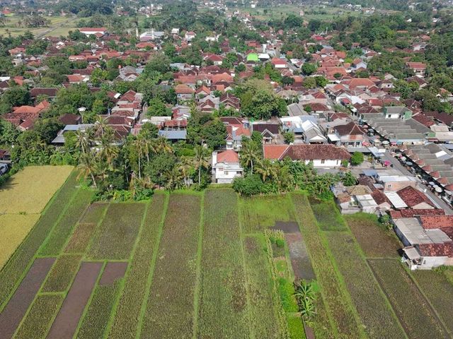 place photo 21