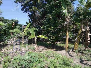 Tlawong, Sawit, BOYOLALI, Jawa Tengah, Indonesia
