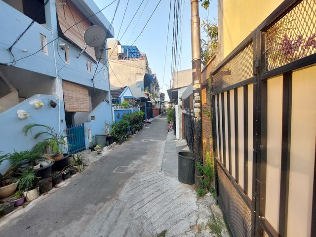 place photo 31