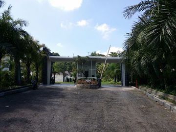 place photo 12