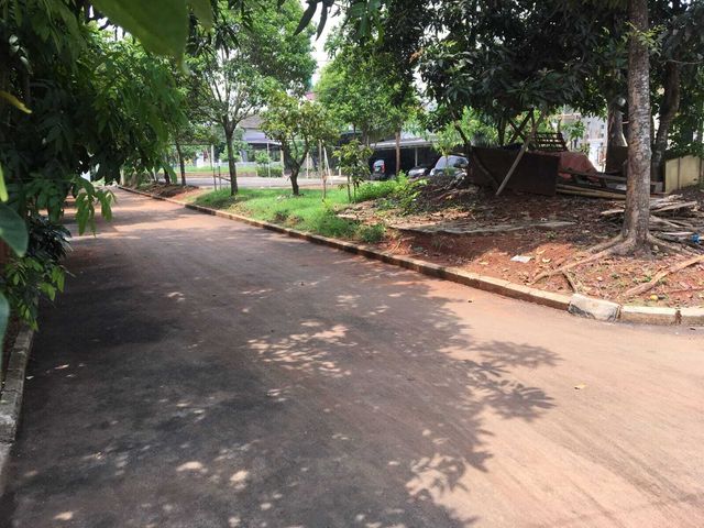 place photo 12