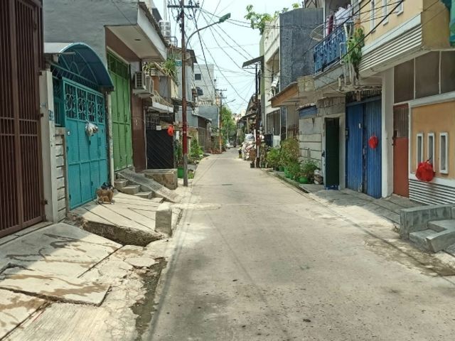 place photo 11