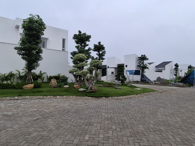 place photo 19