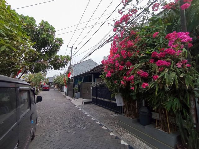 place photo 40