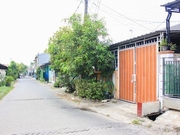 place photo 19