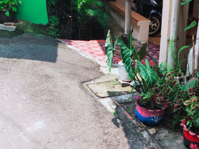 place photo 6