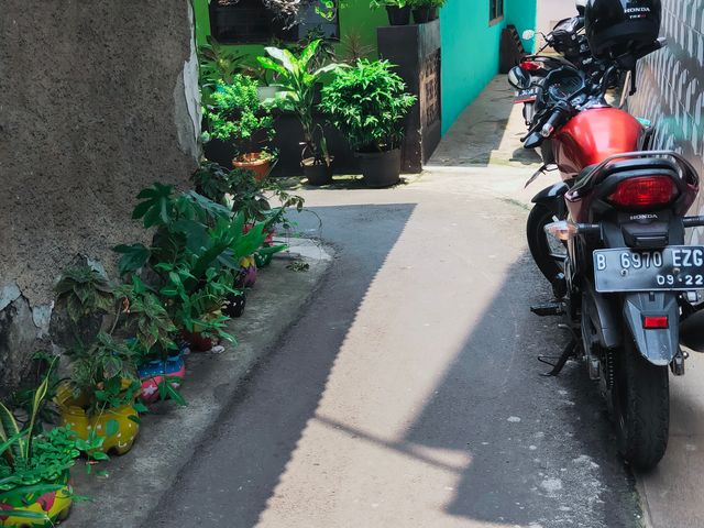 place photo 5