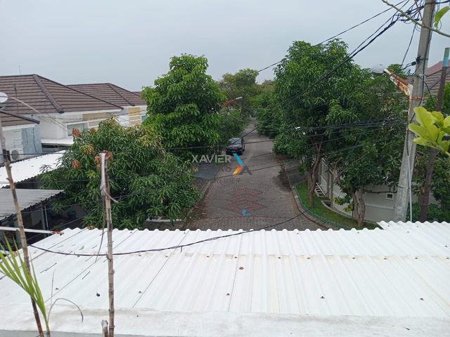 place photo 17