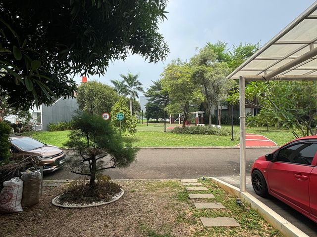 place photo 17