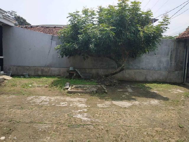 place photo 13