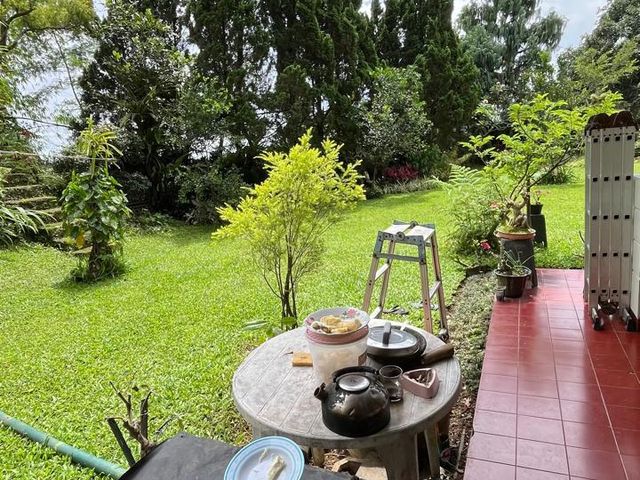 place photo 25