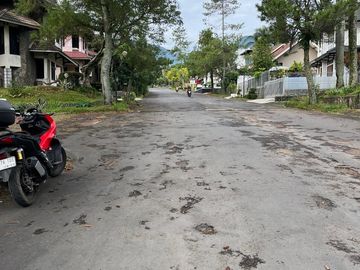 place photo 29