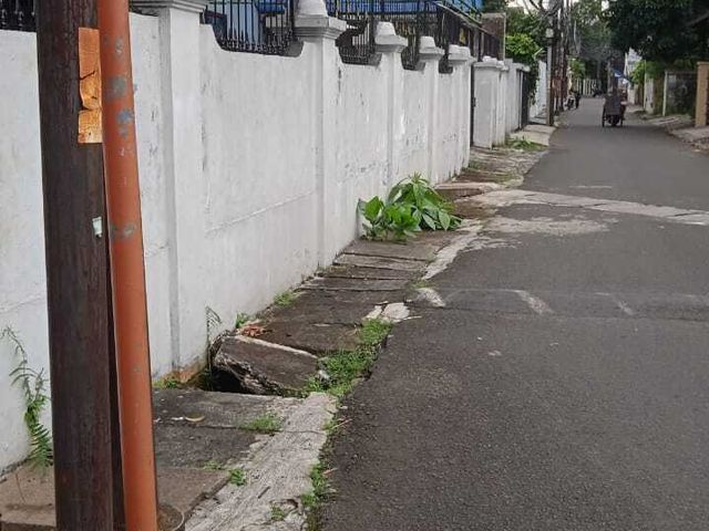 place photo 12