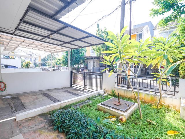 place photo 39