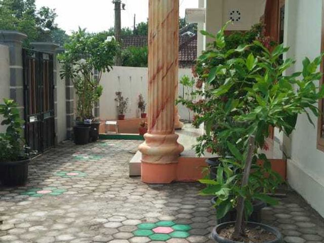place photo 12