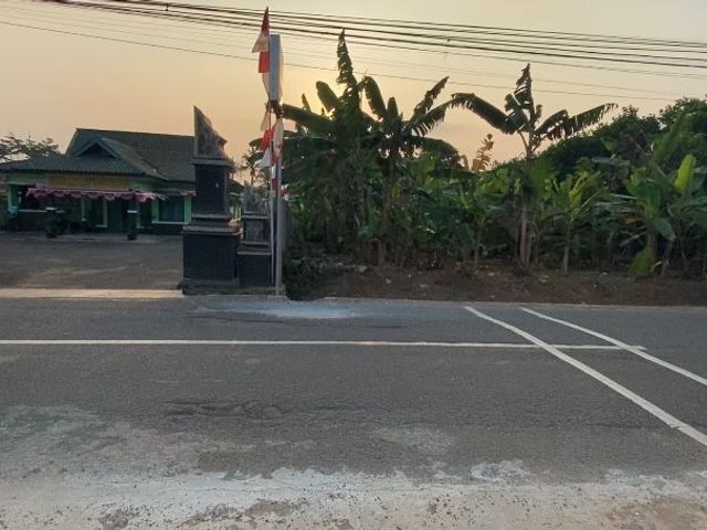 place photo 16