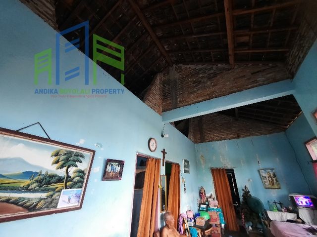 place photo 7
