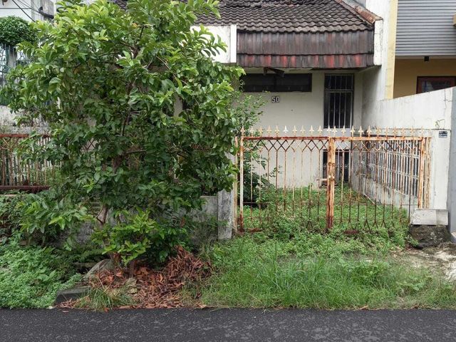place photo 11