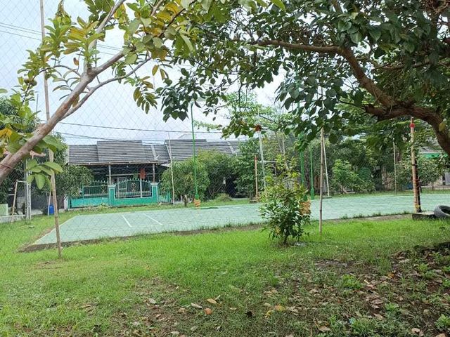 place photo 12