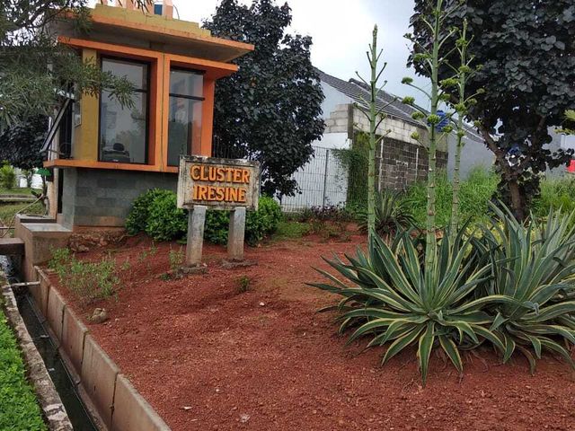 place photo 6