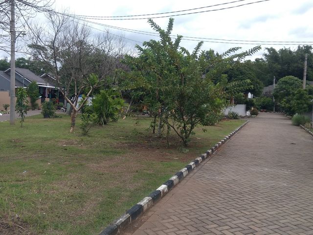 place photo 7