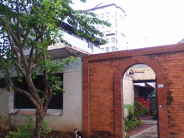 place photo 17