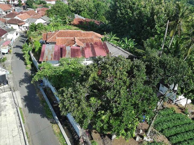 place photo 32