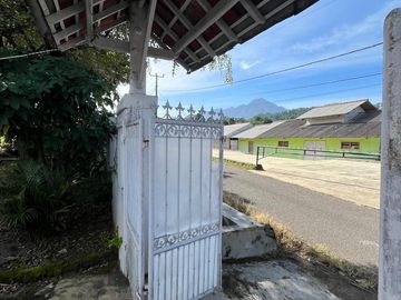 place photo 26