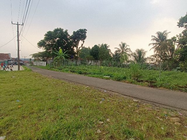 place photo 22