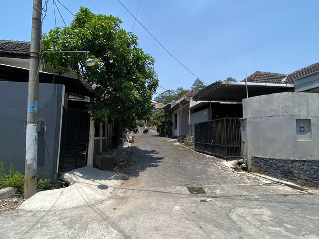place photo 5