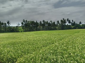 Kaba-kaba, TABANAN, Bali, Indonesia