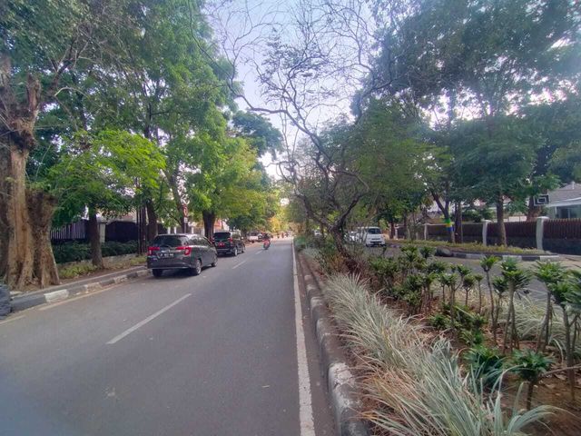 place photo 15