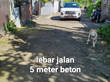 place photo 8