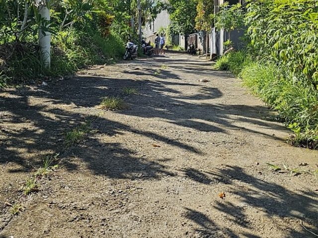 place photo 9