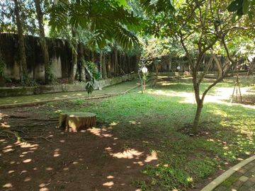 place photo 18