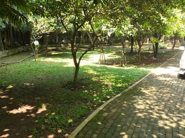 place photo 19