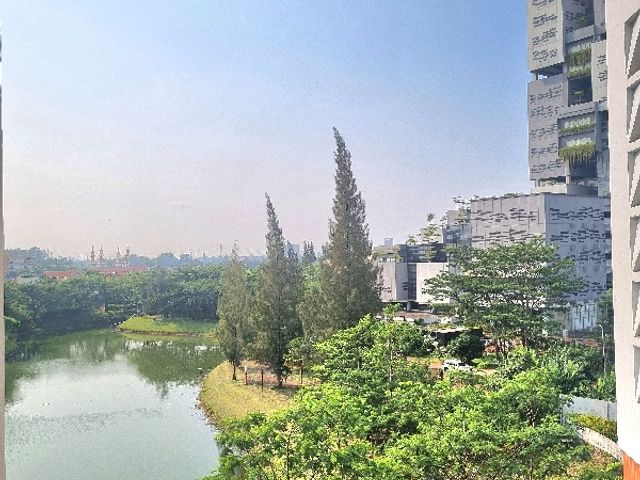 place photo 23