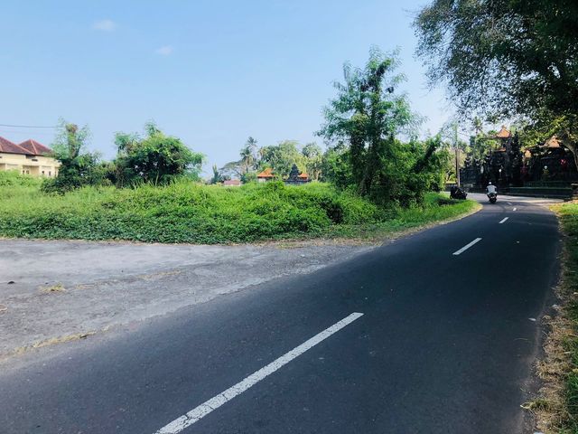 place photo 5