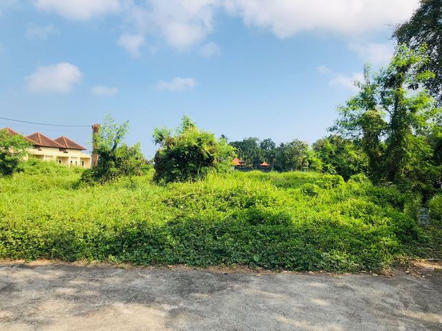 place photo 4