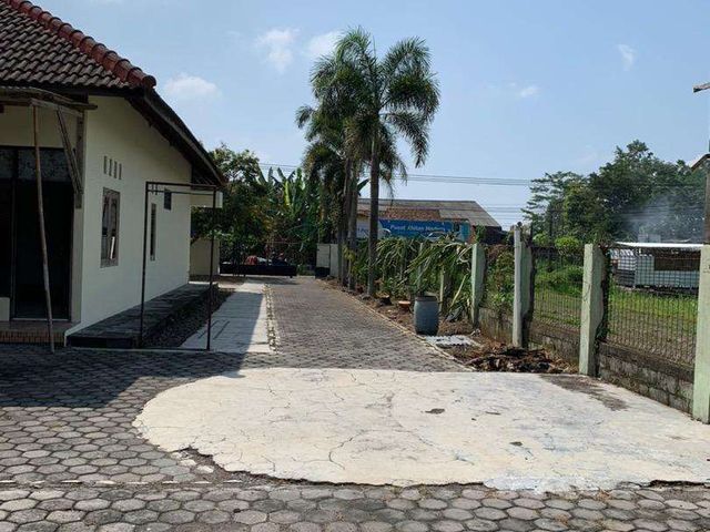 place photo 18
