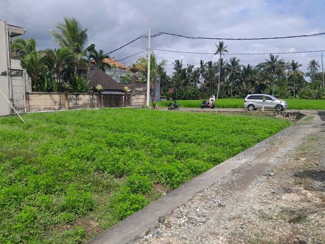 place photo 10