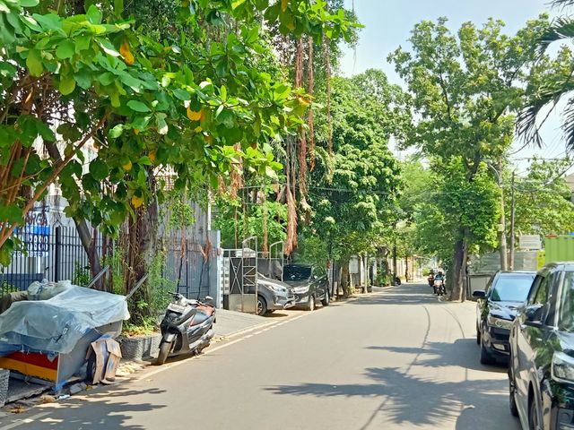 place photo 8