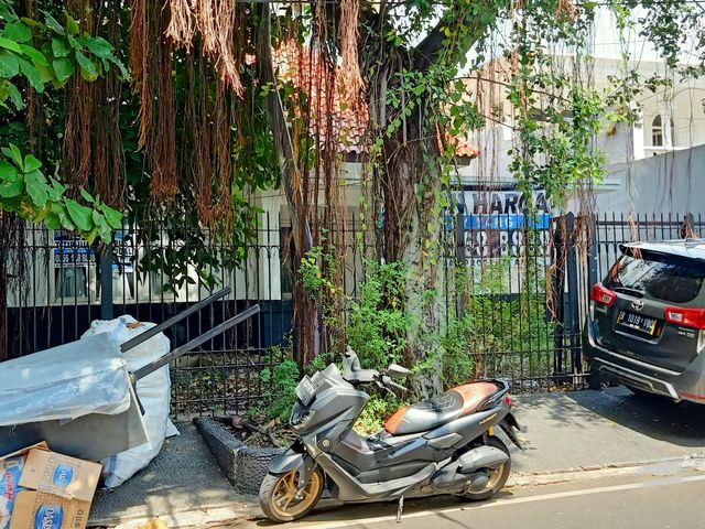 place photo 15