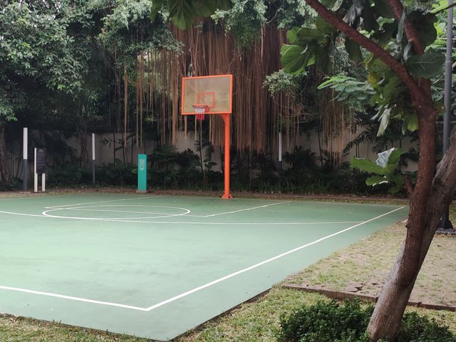 place photo 24