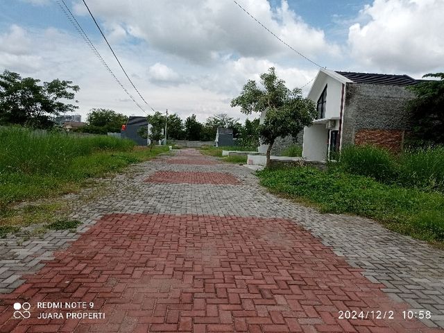 place photo 10