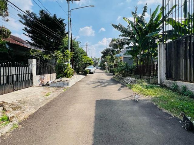 place photo 20