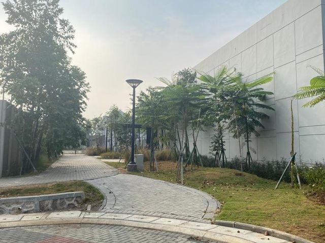 place photo 18