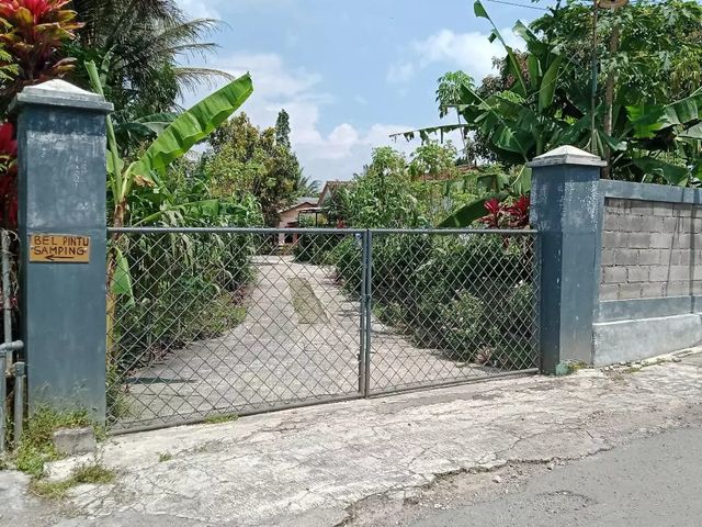 place photo 7